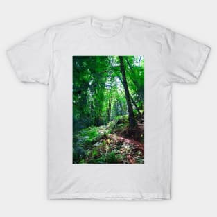 Sunlight And The Trail T-Shirt